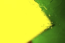 Colores